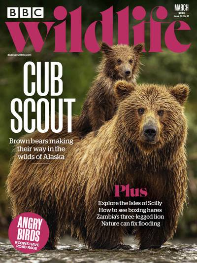 BBC Wildlife – March 2023