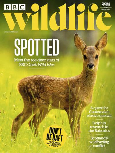 BBC-Wildlife-–-Spring-2023.jpg