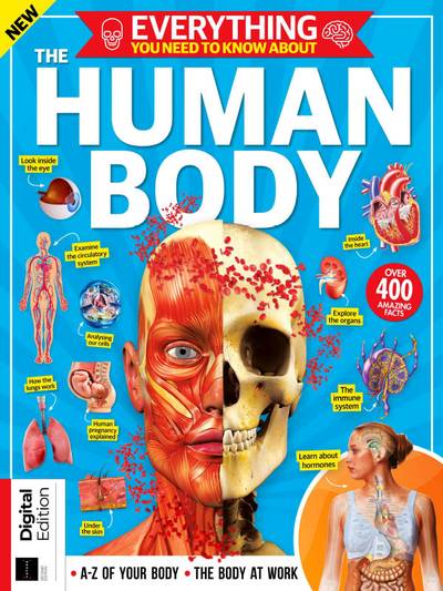 How-it-Works-Everything-You-Need-To-Know-About-The-Human-Body-2nd-Edition-2024.jpg