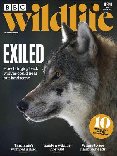 BBC-Wildlife-Magazine-Spring-2024.jpg
