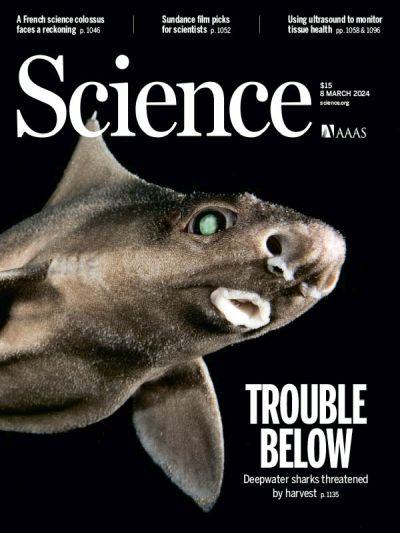 Science-Volume-383-Issue-6687-8-March-2024.jpg