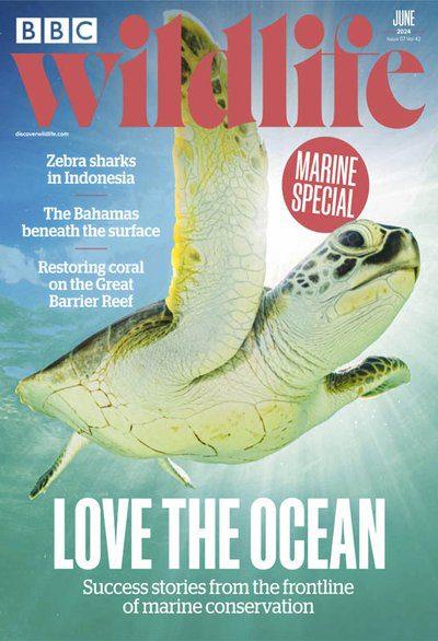 BBC-Wildlife-June-2024.jpg