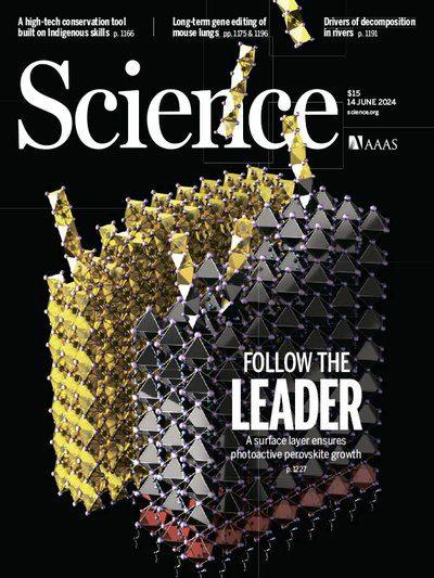 Science-Volume-384-Issue-6701-14-June-2024.jpg