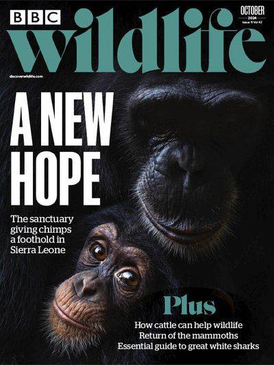 BBC-Wildlife-October-2024.jpg