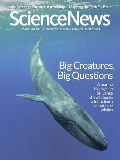 Science-News-November-2-2024-1.jpg