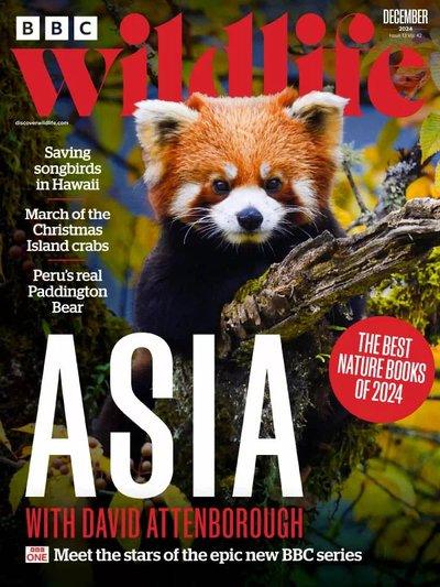 BBC-Wildlife-Magazine-December-2024.jpg