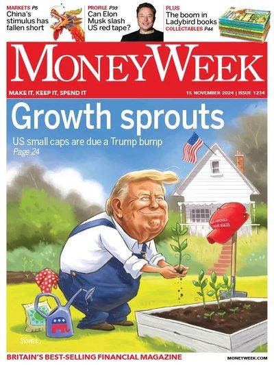 MoneyWeek-Issue-1234-15-November-2024.jpg
