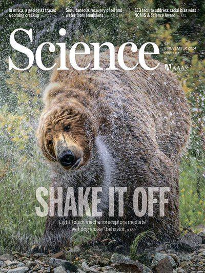 Science-Issue-6722-Volume-386-08-November-2024.jpg