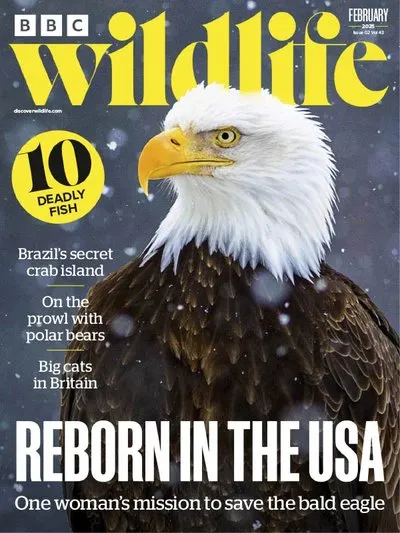 BBC-Wildlife-Magazine-February-2025.webp
