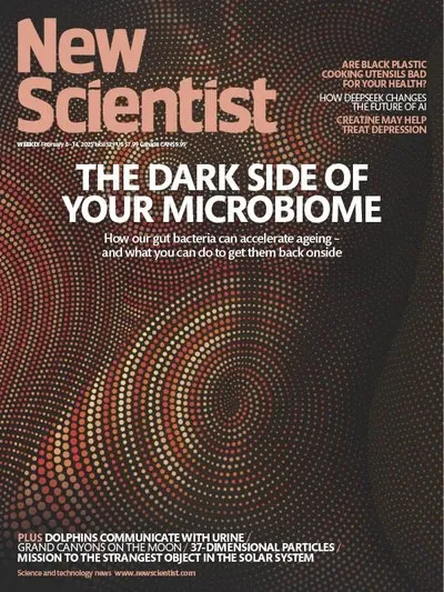 New-Scientist-USA-February-8-2025.webp