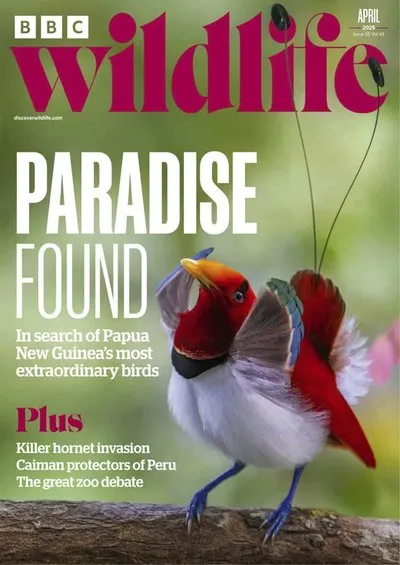 BBC-Wildlife-April-2025.webp