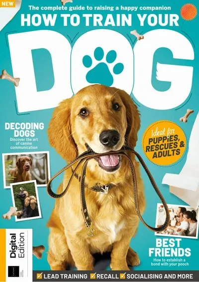 How-To-Train-Your-Dog-3rd-Edition-2025.webp