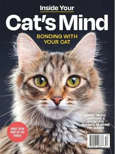 Inside-Your-Cats-Mind-Bonding-With-Your-Cat-2025.webp