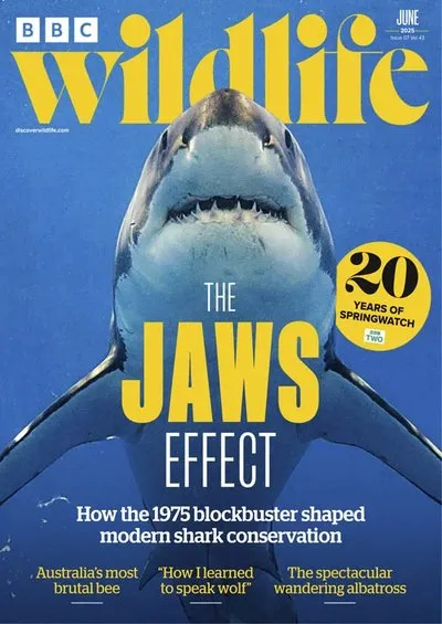 BBC-Wildlife-June-2025.webp