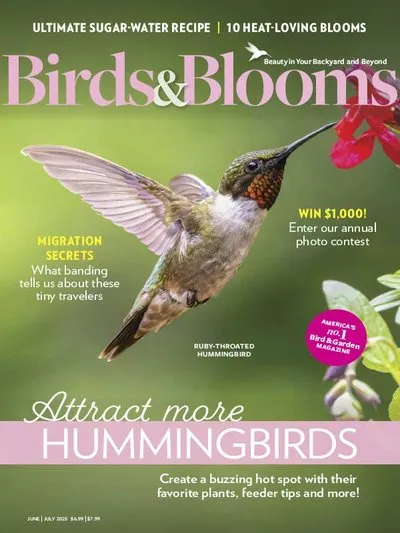 Birds-Blooms-June_July-2025.webp
