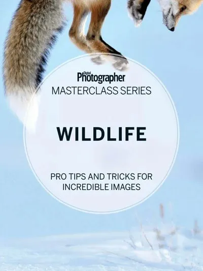Digital-Photographer-Masterclass-Series-Wildlife.webp