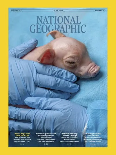 National-Geographic-Magazine-UK-June-2025.webp