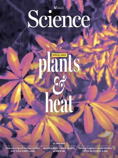 Science-Issue-6752-Volume-388-12-June-2025.webp
