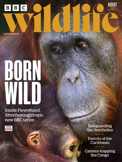 BBC-Wildlife-Magazine-August-2025.webp