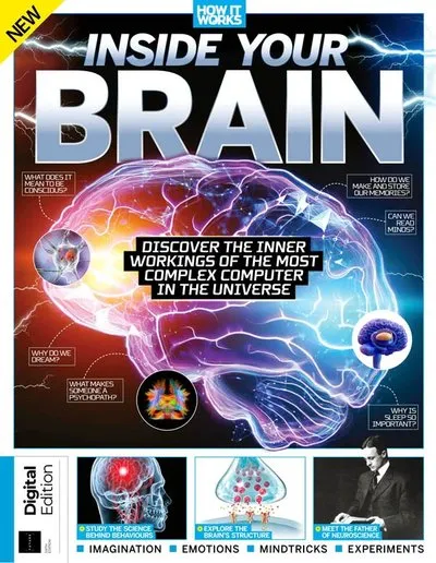 How-It-Works-Inside-Your-Brain-6th-Edition-2025.webp