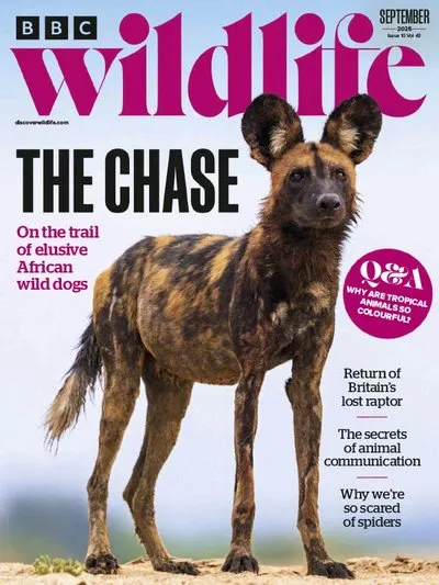 BBC-Wildlife-Magazine-September-2025.webp