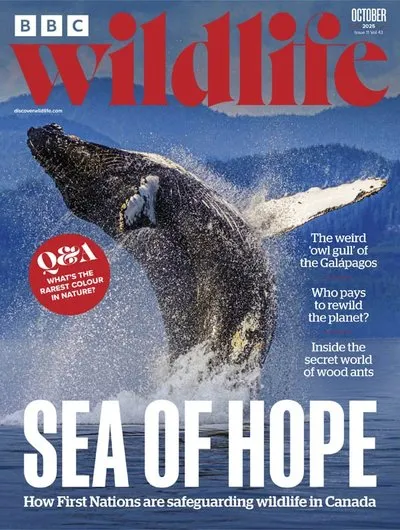 BBC-Wildlife-Magazine-October-2025.webp