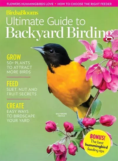 Birds-Blooms-Ultimate-Guide-to-Backyard-Birding-2025.webp