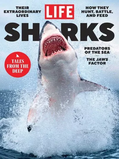 LIFE-Sharks-2025.webp