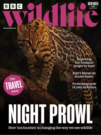 BBC-Wildlife-Magazine-November-2025.webp